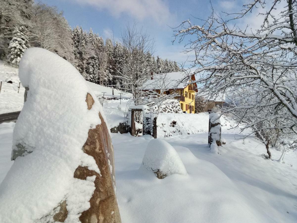 La Maison Jaune Cleurie エクステリア 写真